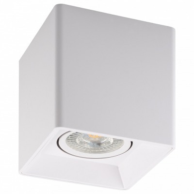 Накладной светильник Denkirs DK3030 DK3030-WH DK_DK3030-WH