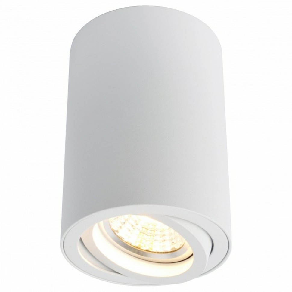 Фото Накладной светильник Arte Lamp Sentry A1560PL-1WH AR_A1560PL-1WH - интернет-магазин МегаТерем в Москве