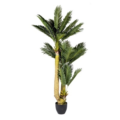 Пальма Цикас (Cycas) искусс...