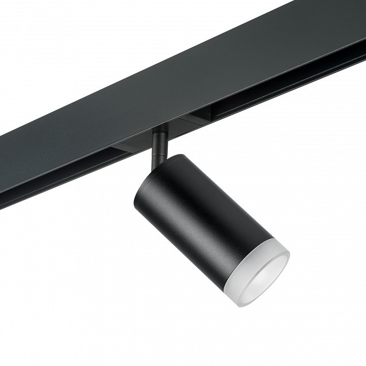 Фото Светильник на штанге Lightstar Rullo PRO43730 LS_PRO43730 - интернет-магазин МегаТерем в Москве