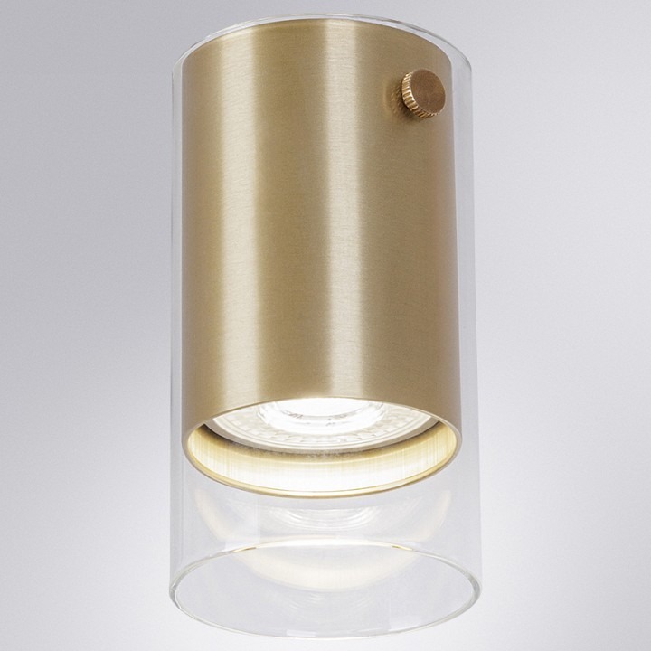 Фото Накладной светильник Arte Lamp Lazio A5365PL-1SG AR_A5365PL-1SG - интернет-магазин МегаТерем в Москве