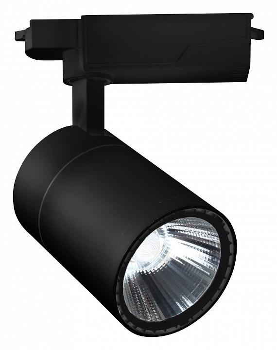 Фото Светильник на штанге Escada 20032 20032TRA/02LED SBK ESC_20032TRA_02LED_SBK - интернет-магазин МегаТерем в Москве