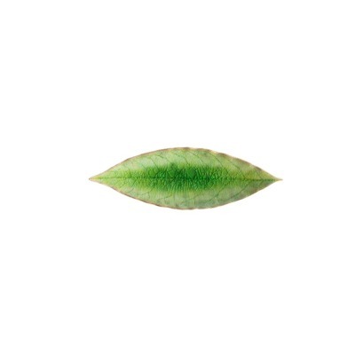 Тарелка VEP182-TMT(VEP182-00816L), керамика, Tomate, Costa Nova