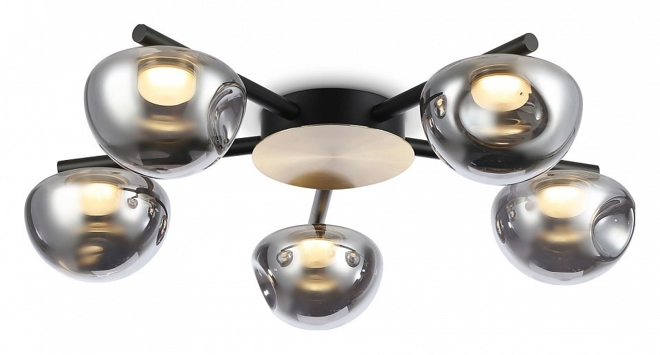 Фото Потолочная люстра Ambrella Light LH LH12009 AMBR_LH12009 - интернет-магазин МегаТерем в Москве