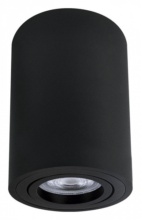 Фото Накладной светильник Arte Lamp Sentry A1566PL-1BK AR_A1566PL-1BK - интернет-магазин МегаТерем в Москве