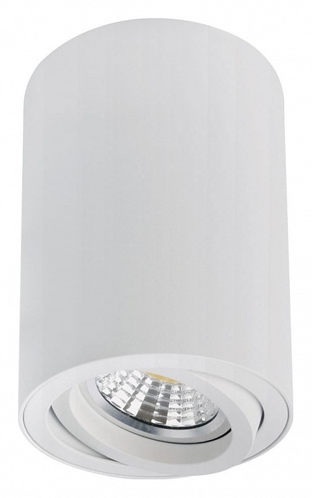 Фото Накладной светильник Arte Lamp Sentry A1566PL-1WH AR_A1566PL-1WH - интернет-магазин МегаТерем в Москве