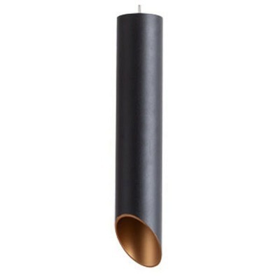 Подвесной светильник Arte Lamp Pilon-Gold A1536SP-1BK AR_A1536SP-1BK