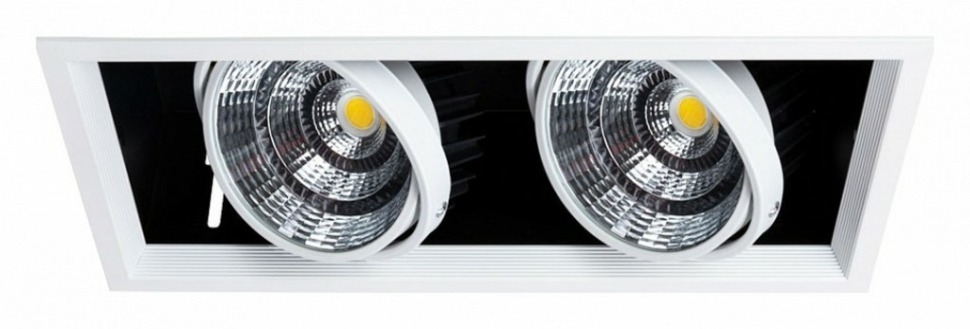 Фото Встраиваемый светильник Arte Lamp Merga A8450PL-2WH AR_A8450PL-2WH - интернет-магазин МегаТерем в Москве