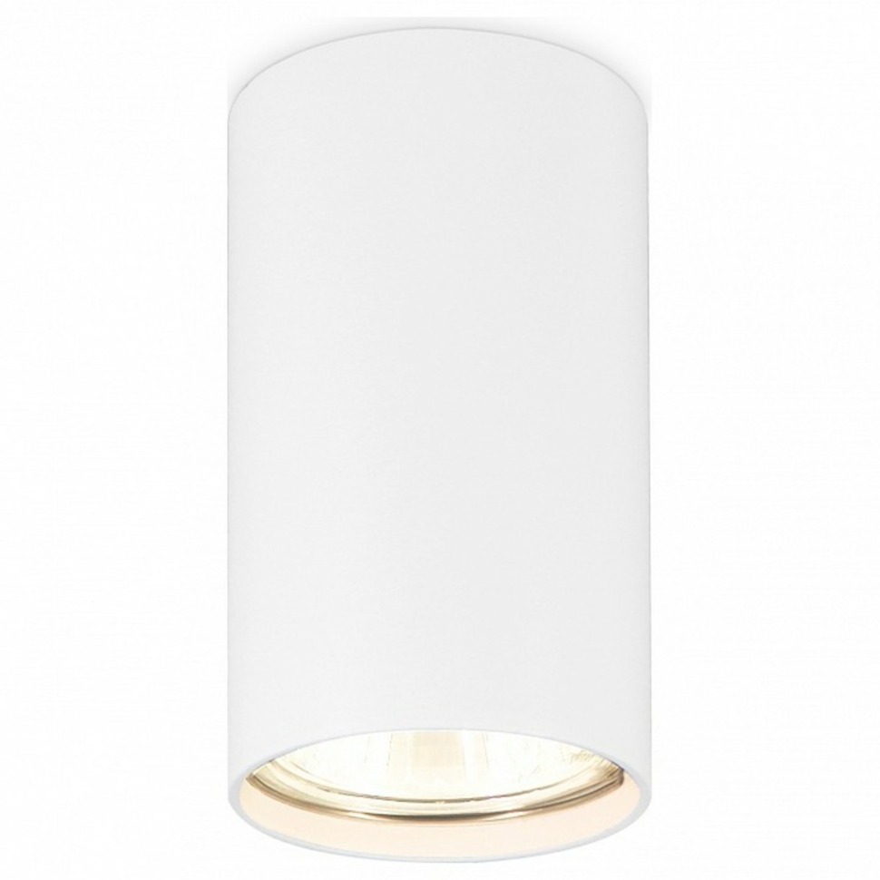 Фото Накладной светильник Ambrella Light TN TN213108 AMBR_TN213108 - интернет-магазин МегаТерем в Москве