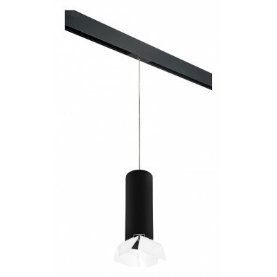 Подвесной светильник Lightstar Rullo PRORP6497486 LS_PRORP6497486