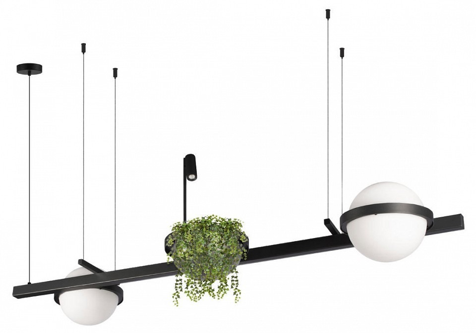 Фото Подвесной светильник Loft it Jardin 10121/D LF_10121_D - интернет-магазин МегаТерем в Москве