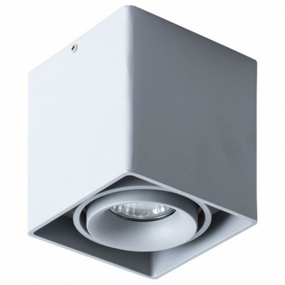 Накладной светильник Arte Lamp Pictor A5654PL-1GY AR_A5654PL-1GY