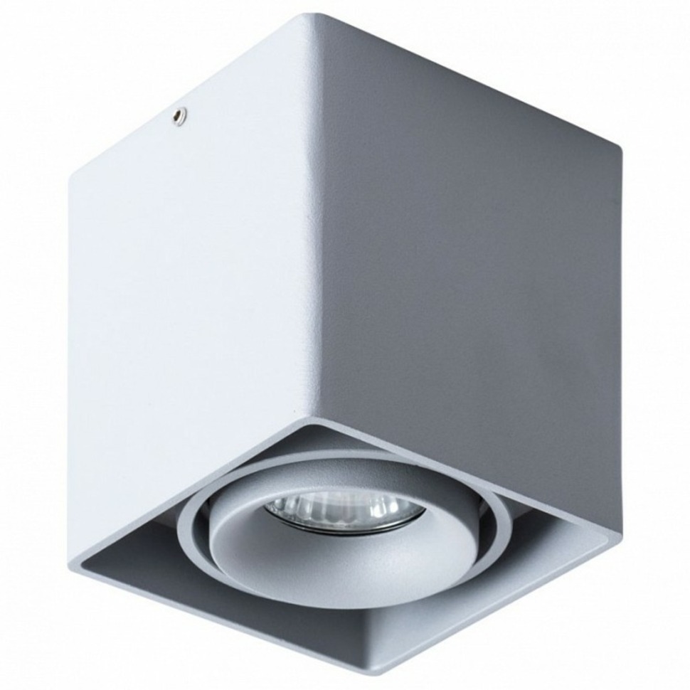 Фото Накладной светильник Arte Lamp Pictor A5654PL-1GY AR_A5654PL-1GY - интернет-магазин МегаТерем в Москве