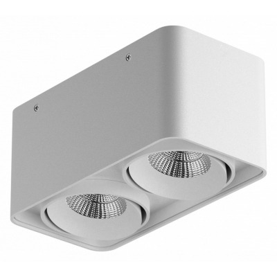 Накладной светильник Lightstar Monocco 052126 LS_052126-IP65