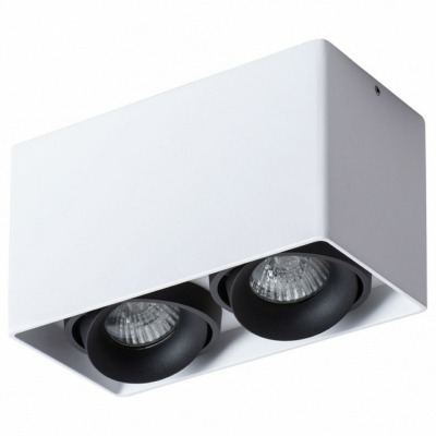 Накладной светильник Arte Lamp Pictor A5654PL-2WH AR_A5654PL-2WH