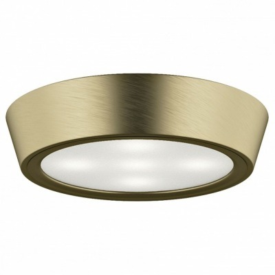 Накладной светильник Lightstar Urbano mini 214712 LS_214712