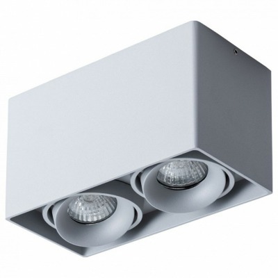 Накладной светильник Arte Lamp Pictor A5654PL-2GY AR_A5654PL-2GY