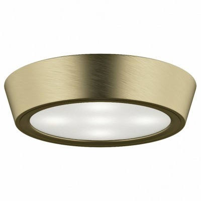 Накладной светильник Lightstar Urbano mini 214714 LS_214714