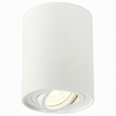 Спот ST-Luce Torus ST108.51...