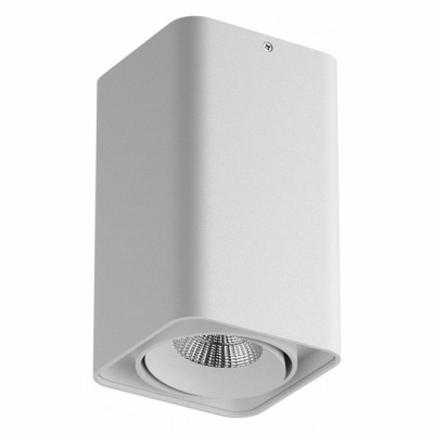 Накладной светильник Lightstar Monocco 052136 LS_052136-IP65