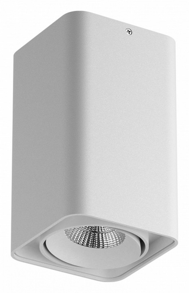 Фото Накладной светильник Lightstar Monocco 052136 LS_052136-IP65 - интернет-магазин МегаТерем в Москве