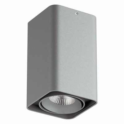 Накладной светильник Lightstar Monocco 052139 LS_052139-IP65