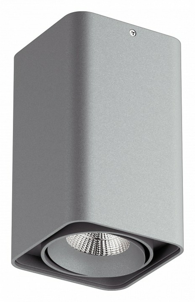 Фото Накладной светильник Lightstar Monocco 052139 LS_052139-IP65 - интернет-магазин МегаТерем в Москве