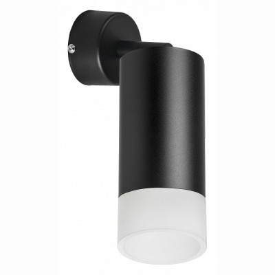 Спот Lightstar Rullo RB43731 LS_RB43731