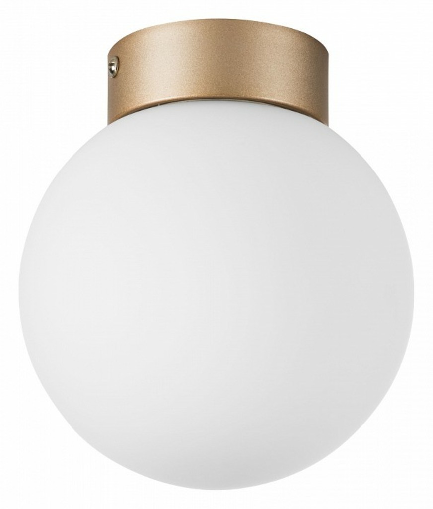Фото Накладной светильник Lightstar Globo 812013 LS_812013 - интернет-магазин МегаТерем в Москве