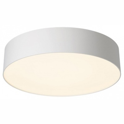 Накладной светильник Citilux BART CL755290