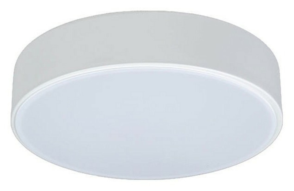 Фото Накладной светильник Loft it Axel 1 10002/12 White LF_10002_12_White - интернет-магазин МегаТерем в Москве