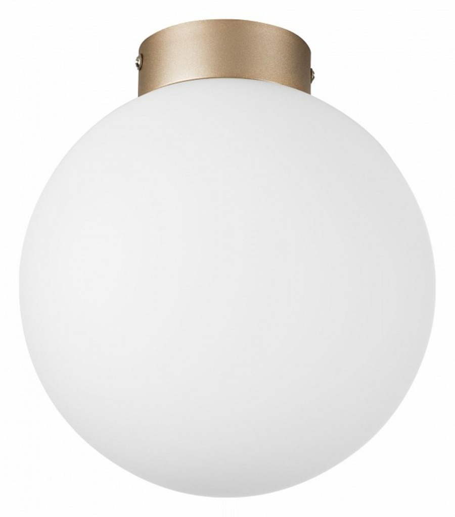 Фото Накладной светильник Lightstar Globo 812023 LS_812023 - интернет-магазин МегаТерем в Москве