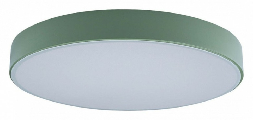 Фото Накладной светильник Loft it Axel 1 10002/24 Green LF_10002_24_Green - интернет-магазин МегаТерем в Москве