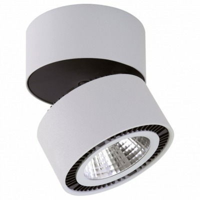 Накладной светильник Lightstar Forte Muro 214830 LS_214830