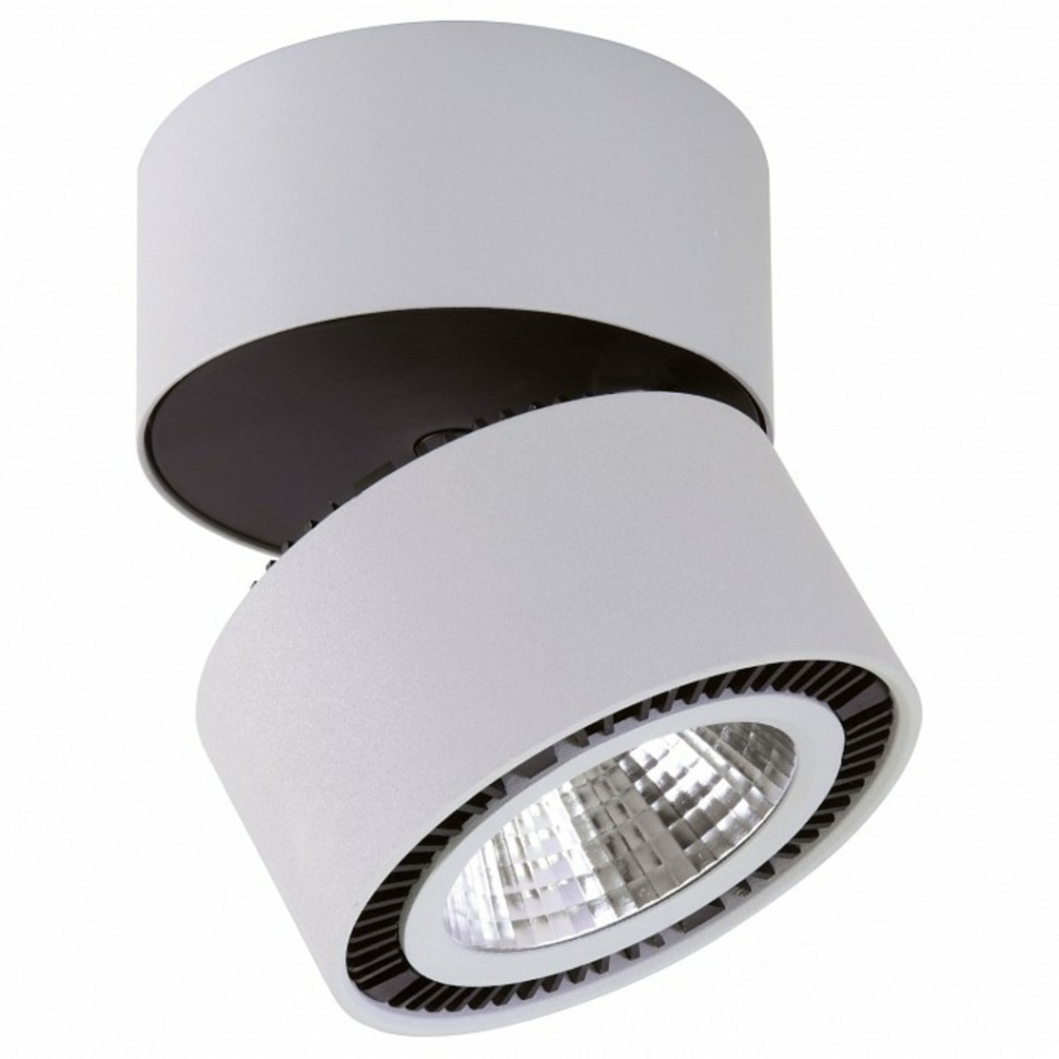 Фото Накладной светильник Lightstar Forte Muro 214830 LS_214830 - интернет-магазин МегаТерем в Москве