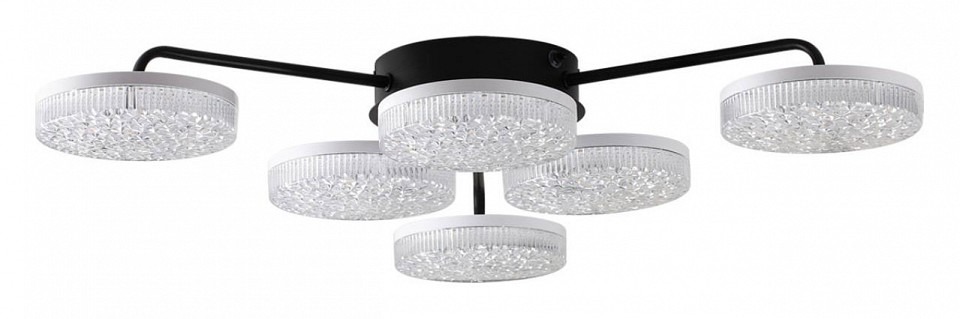 Фото Потолочная люстра Lumion Didana 8236/6CL LMN_8236_6CL - интернет-магазин МегаТерем в Москве