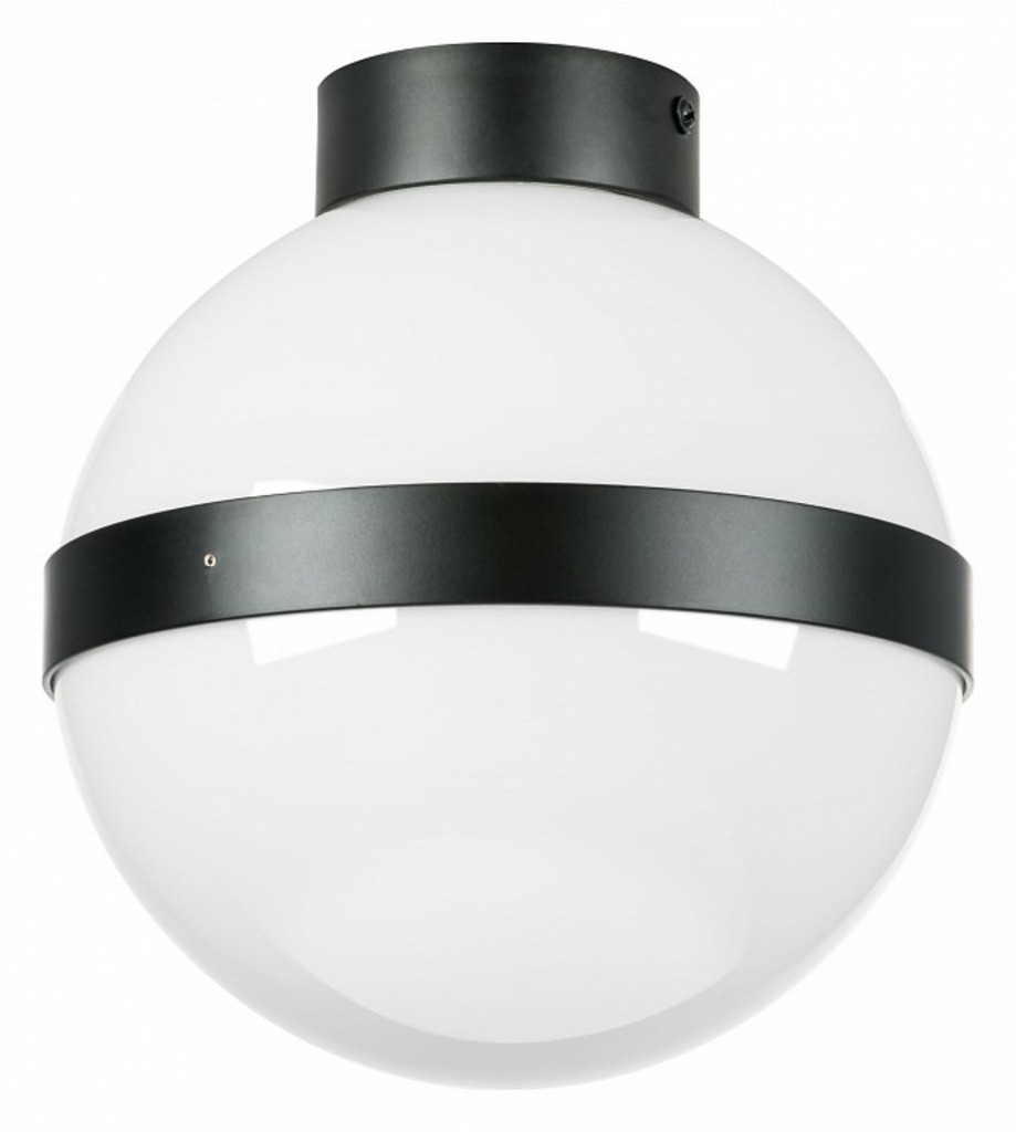 Фото Накладной светильник Lightstar Globo 812117 LS_812117 - интернет-магазин МегаТерем в Москве