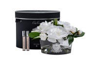 Диффузор Овал белый (Oval White), спрей Шарантская роза (Charente Rose) 2x10мл  в уп. (TT-00014734)