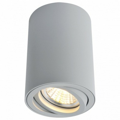 Накладной светильник Arte Lamp Sentry A1560PL-1GY AR_A1560PL-1GY