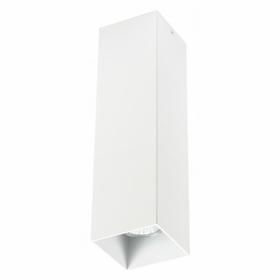 Накладной светильник Lightstar Rullo 216596 LS_216596