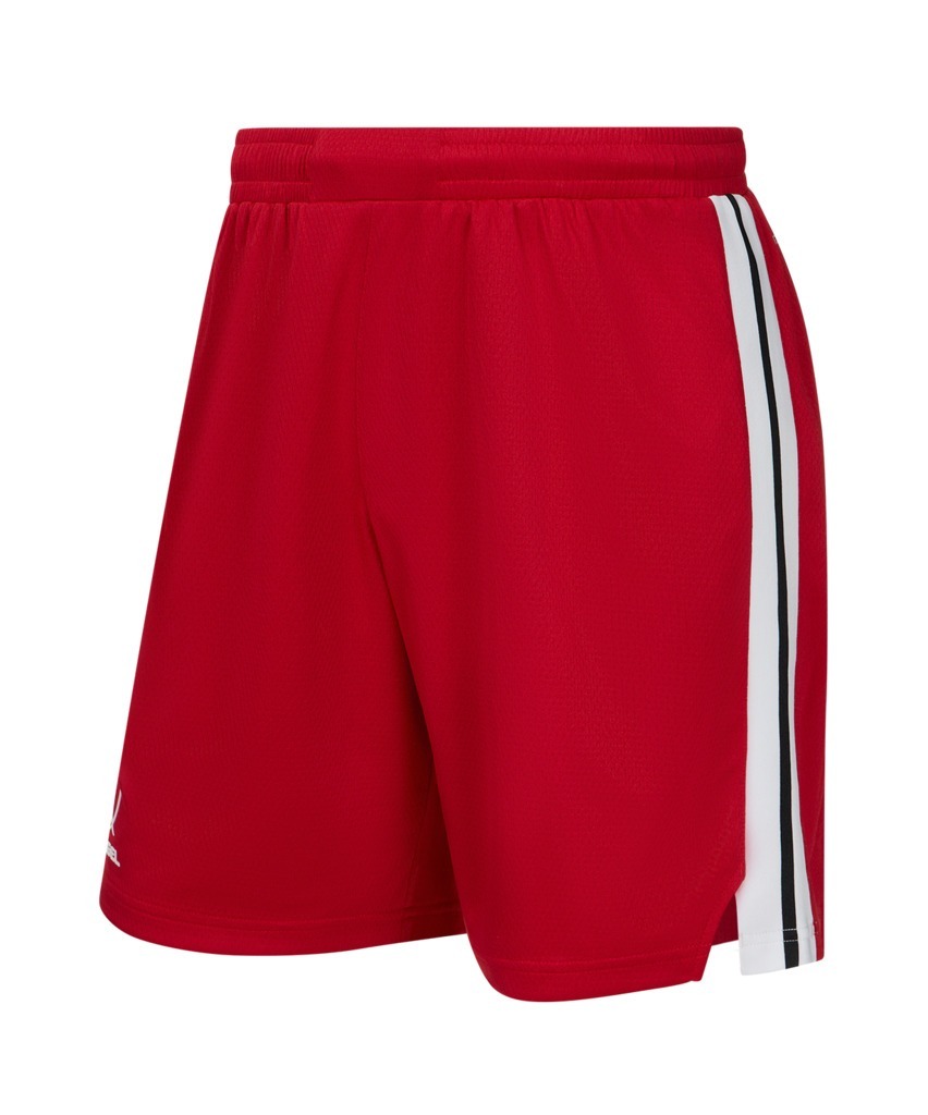 Фото Шорты баскетбольные JOGEL DIVISION PerFormDRY Shorts R2, красный (2130677) - интернет-магазин МегаТерем в Москве